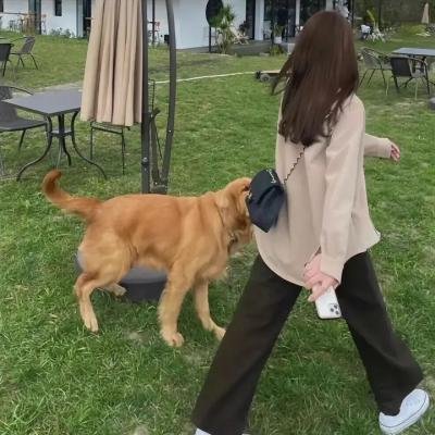 邪教招魂